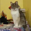Отзыв от Наталия Максимова